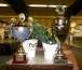 pokal_1_dsc00634.jpg